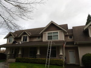 roof-cleaning