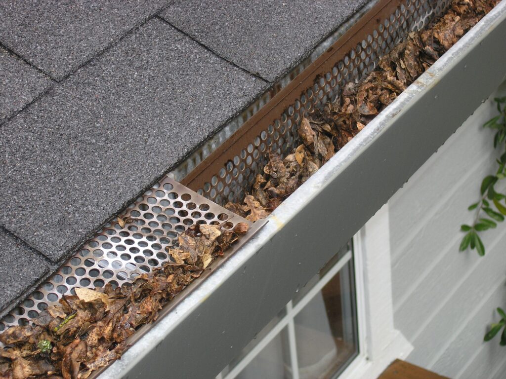 gutter-cleaning